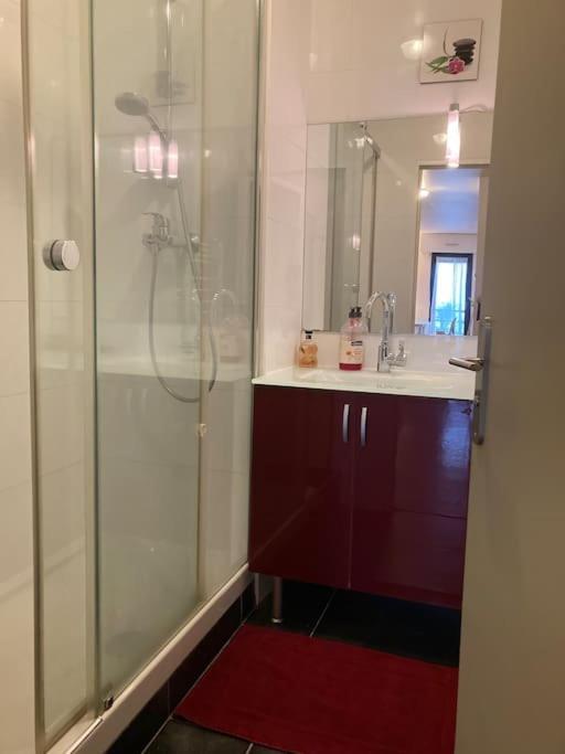 Apartamento T3 - 62M2 - Parking Prive - Metro Toulouse Exterior foto